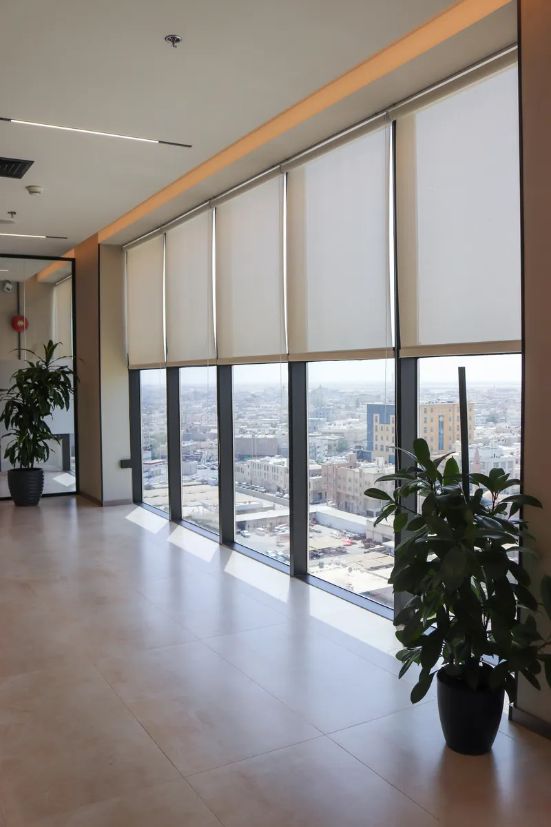 13th floor · floor-to-ceiling windows with roller blinds, a potted plant and a city view