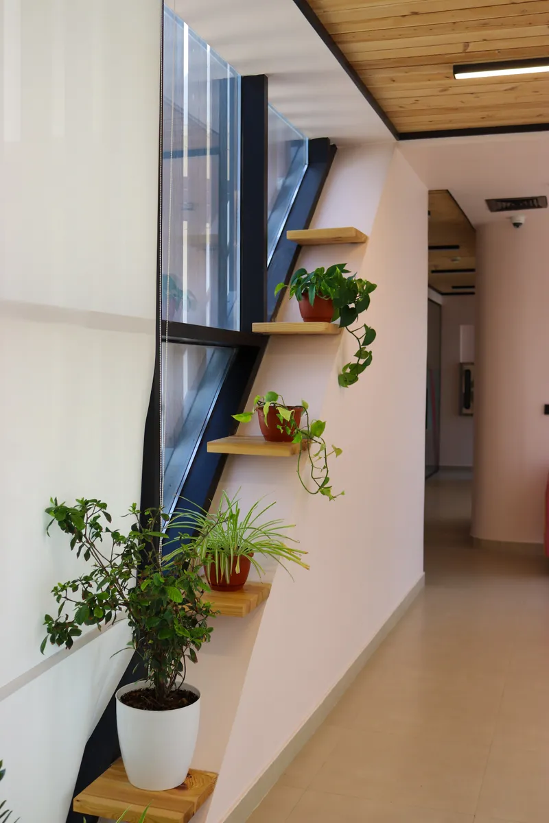 14th floor · potted plants on timber shelves along a slanted window