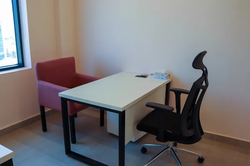 Office 66 · second desk with ergonomic chair and a pink upholstered armchair