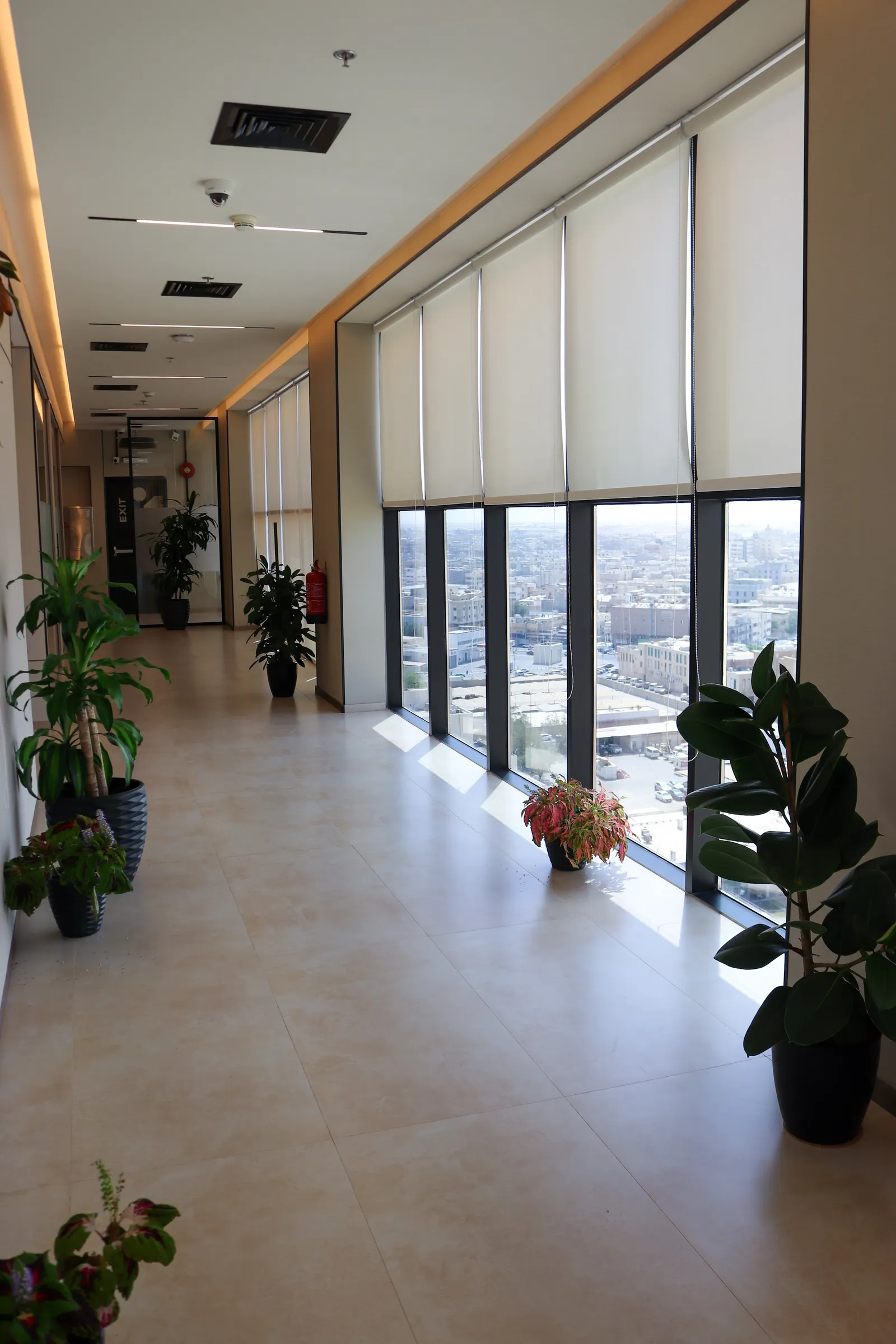 13th floor · corridor with potted plants along floor-to-ceiling windows over the city