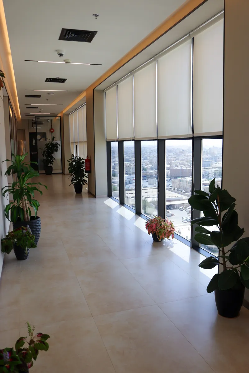 13th floor · corridor with potted plants along floor-to-ceiling windows over the city