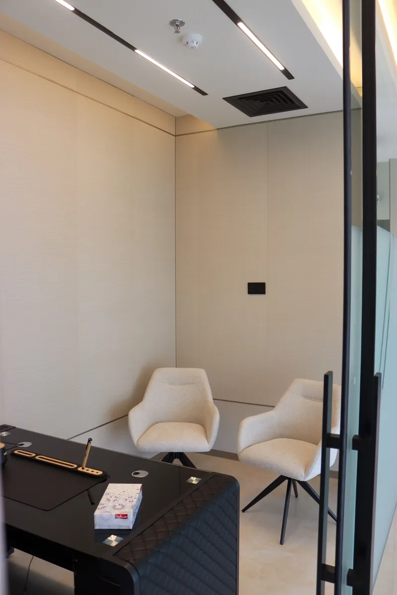 Office 63 · two guest armchairs and linear ceiling lights