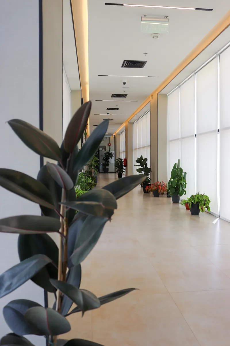 13th floor · plant-lined corridor along windows with the roller blinds lowered