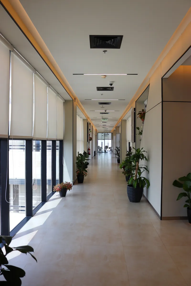 13th floor · corridor lined with potted plants, windows on the left, glass room at the end